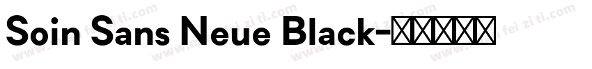 Soin Sans Neue Black字体转换